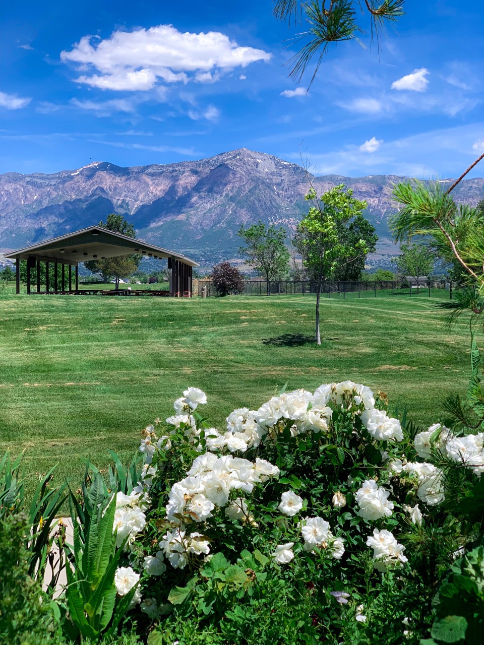 Planning Commission MarriottSlaterville Utah