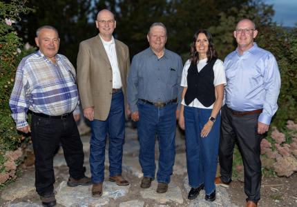 City Council