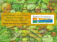 MSC Garden Market